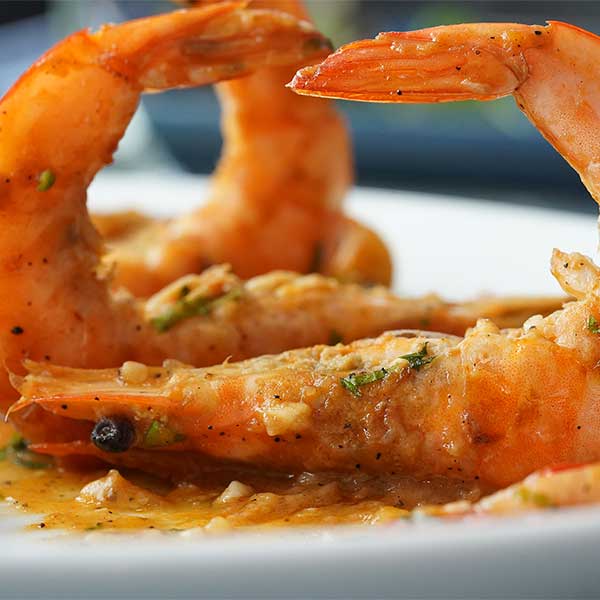 Gallery Colosseo Restaurant Gallery Colosseo Restaurant